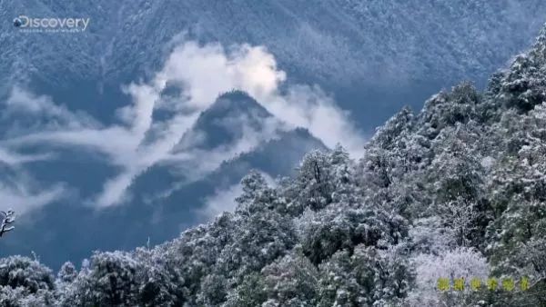 青阳天气评测1